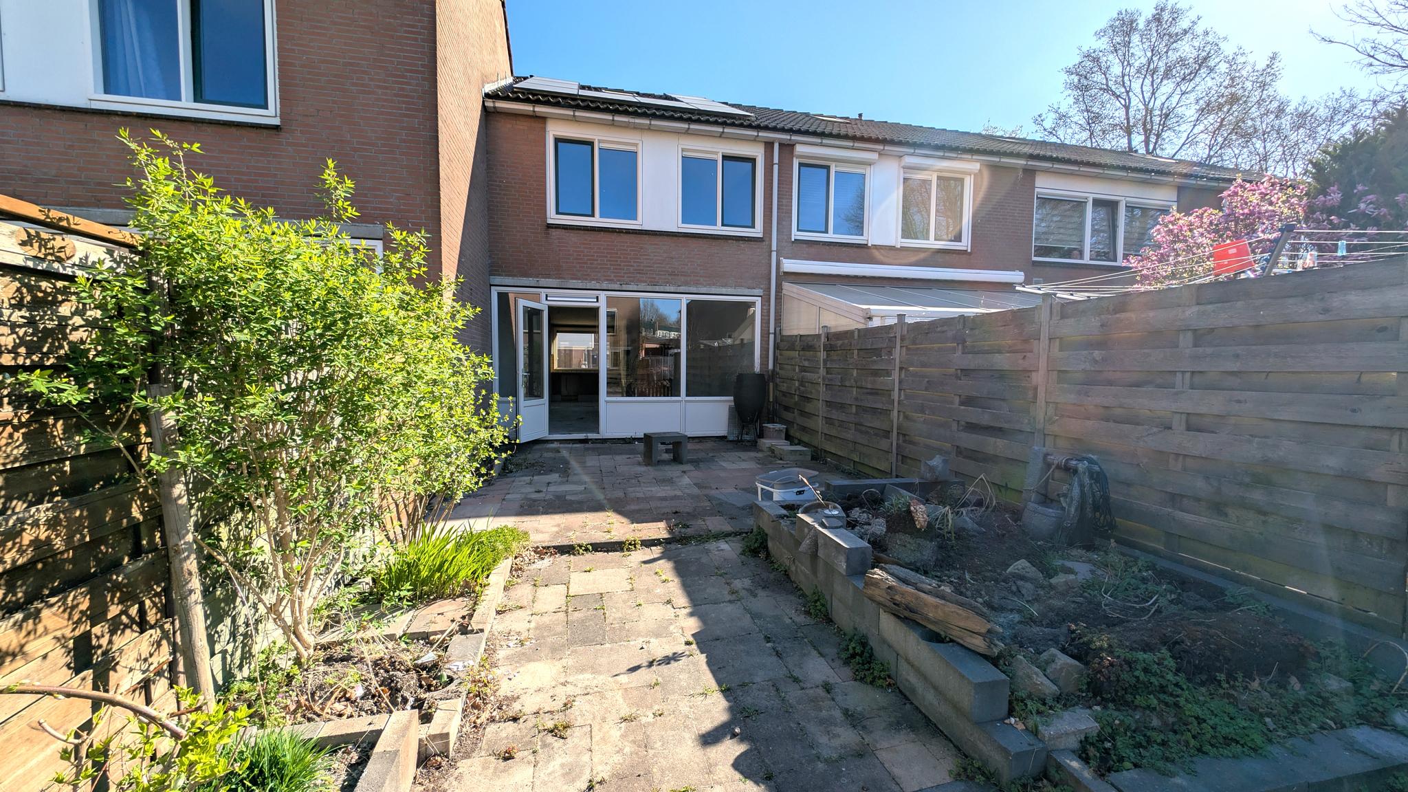 koop  Zoeterwoude  Gans 10 – Foto