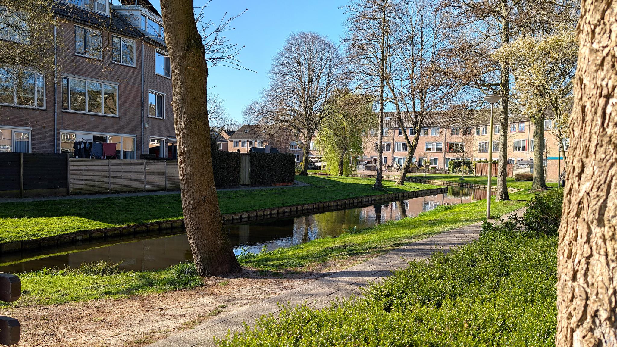 koop  Zoeterwoude  Gans 10 – Foto 2